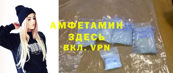 хмурый Алексин
