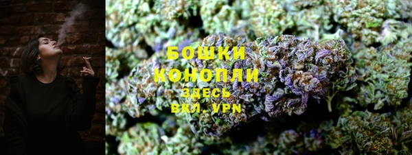 молекула духа Приозерск