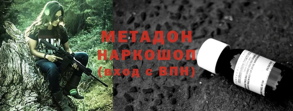 хмурый Алексин
