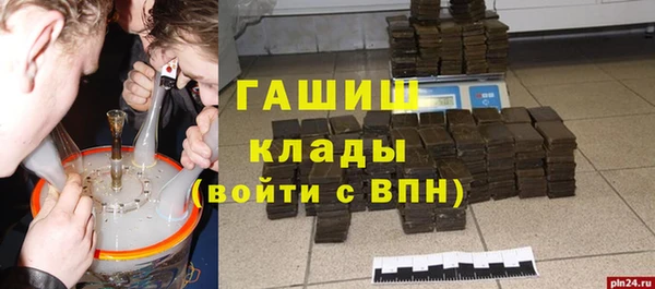 хмурый Алексин