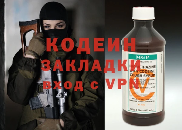 хмурый Алексин