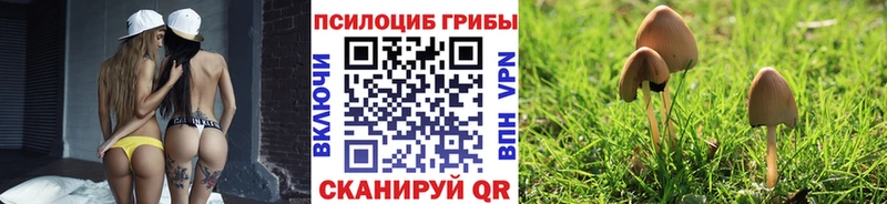 Галлюциногенные грибы прущие грибы  где купить наркотик  Бирск 