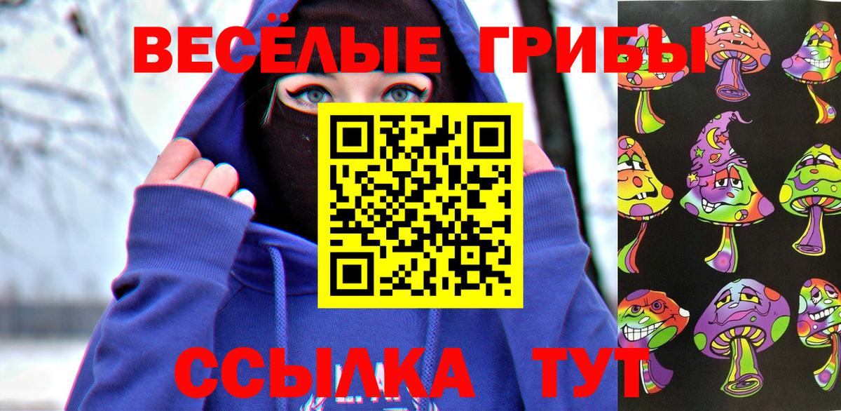 Галлюциногенные грибы мухоморы  Галлюциногенные грибы Psilocybe  купить наркотики цена  Вход с VPN  Бирск 