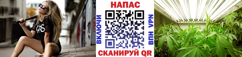 Каннабис Bruce Banner  где купить наркоту  Бирск 